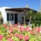 Diogenis Studios_lowest prices_in_Hotel_Cyclades Islands_Mykonos_Mykonos ora