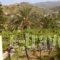 Dimitra Apartments_lowest prices_in_Apartment_Crete_Lasithi_Sitia