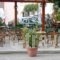 Dimitriou_best prices_in_Apartment_Central Greece_Evia_Edipsos
