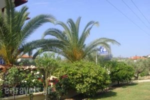 Cleopatra_holidays_in_Hotel_Macedonia_Halkidiki_Haniotis - Chaniotis