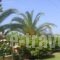 Cleopatra_holidays_in_Hotel_Macedonia_Halkidiki_Haniotis - Chaniotis