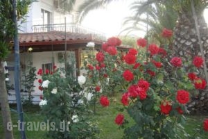 Cleopatra_accommodation_in_Hotel_Macedonia_Halkidiki_Haniotis - Chaniotis