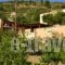 Nana Apartments_best deals_Apartment_Crete_Heraklion_Zaros