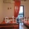 Studios Stella_best deals_Apartment_Macedonia_Halkidiki_Toroni