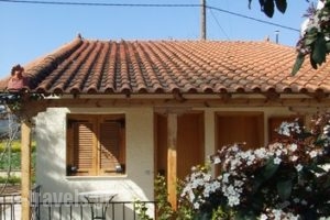 Studio Candia_lowest prices_in_Hotel_Peloponesse_Argolida_Kandia