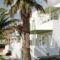 Kyklades_lowest prices_in_Hotel_Cyclades Islands_Tinos_Tinosst Areas
