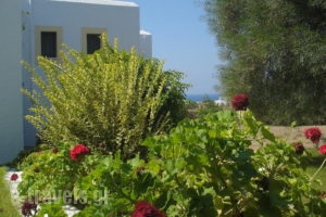 Scala Apartments_travel_packages_in_Cyclades Islands_Naxos_Naxos chora