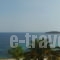 Barbagiannis House_best deals_Apartment_Macedonia_Halkidiki_Ormos Panagias