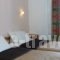 Babis Hotel_holidays_in_Hotel_Cyclades Islands_Sandorini_Sandorini Chora
