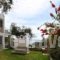 Carpe Diem Corfu Villas_holidays_in_Villa_Ionian Islands_Corfu_Corfu Rest Areas