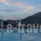 Terra Mare Hotel_best prices_in_Hotel_Ionian Islands_Kefalonia_Kefalonia'st Areas