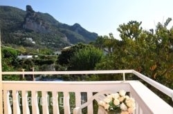 Dina Apartments in Agios Gordios, Corfu, Ionian Islands