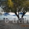 Mirto_lowest prices_in_Room_Aegean Islands_Samos_Samos Rest Areas