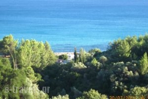 Gerasimoula Studios_holidays_in_Hotel_Ionian Islands_Kefalonia_Vlachata