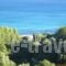 Gerasimoula Studios_holidays_in_Hotel_Ionian Islands_Kefalonia_Vlachata