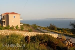 Regina_best deals_Hotel_Ionian Islands_Kefalonia_Vlachata