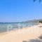 Tsipouridis Roums_best deals_Hotel_Aegean Islands_Thasos_Thasos Chora