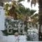 Dolphin Apartments_best deals_Apartment_Dodekanessos Islands_Rhodes_Faliraki