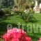 Roza Studios_best deals_Hotel_Ionian Islands_Corfu_Corfu Rest Areas