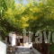 Agnadema_accommodation_in_Apartment_Sporades Islands_Skyros_Skyros Rest Areas