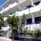 Mina Studios_travel_packages_in_Dodekanessos Islands_Kos_Kardamena
