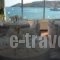 Argo_best prices_in_Hotel_Piraeus Islands - Trizonia_Aigina_Agia Marina