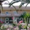 Stefani_travel_packages_in_Macedonia_Halkidiki_Toroni