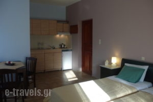 Nicolas Beach_holidays_in_Apartment_Crete_Chania_Palaeochora