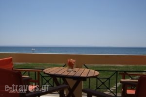 Monopetro_holidays_in_Apartment_Macedonia_Halkidiki_Poligyros