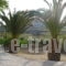 Oasis Rooms_travel_packages_in_Cyclades Islands_Syros_Galissas