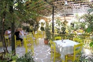 Hotel Ivi_best deals_Hotel_Cyclades Islands_Antiparos_Antiparos Chora