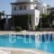 Elizabeth_accommodation_in_Hotel_Cyclades Islands_Paros_Paros Chora