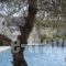 Sentido Port Royal Villas & Spa - Adults Only_best prices_in_Villa_Dodekanessos Islands_Rhodes_Lindos