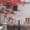 Armonia Pension_best deals_Hotel_Cyclades Islands_Ios_Ios Chora