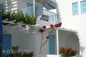 Carmel Studios Apartments_lowest prices_in_Apartment_Cyclades Islands_Paros_Piso Livadi