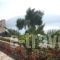 Villa Bolios_accommodation_in_Villa_Ionian Islands_Kefalonia_Matsoukata