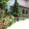 Felitsia Apartments & Studios_accommodation_in_Apartment_Thessaly_Magnesia_Mouresi