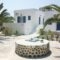 Willy Studios_holidays_in_Apartment_Cyclades Islands_Sandorini_Sandorini Chora