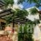 Pefkos Village Resort_best deals_Hotel_Dodekanessos Islands_Rhodes_Rhodes Areas