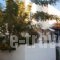 Artemis Hotel_holidays_in_Hotel_Cyclades Islands_Naxos_Agia Anna