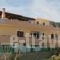 Thania Studios_travel_packages_in_Crete_Heraklion_Aghia Pelagia