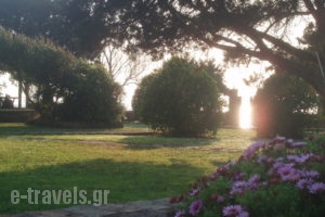 Genari Apartments_lowest prices_in_Room_Peloponesse_Ilia_Pyrgos