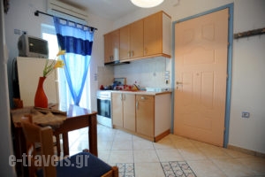 Virginia Studios_best prices_in_Apartment_Cyclades Islands_Tinos_Tinos Chora