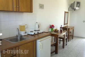 Irene Apartments & Studios_travel_packages_in_Dodekanessos Islands_Kos_Kos Chora