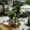 Alkion Hotel_lowest prices_in_Hotel_Crete_Chania_Stalos