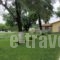 Pieria Studios_holidays_in_Hotel_Macedonia_Pieria_Dion