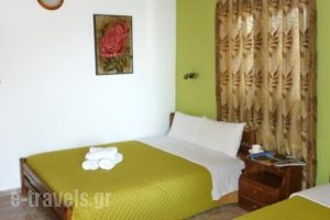 Paligremnos Studios_holidays_in_Hotel_Crete_Rethymnon_Plakias