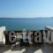 Sitia Bay_best prices_in_Apartment_Crete_Lasithi_Sitia