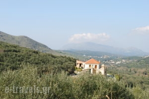 Olive Villas_best deals_Villa_Crete_Chania_Kolympari