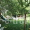 Chroma Studios_lowest prices_in_Apartment_Central Greece_Evia_Edipsos